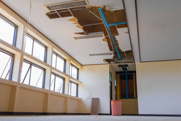 Best Water damage cleanup near me  in Ash Flat, AR