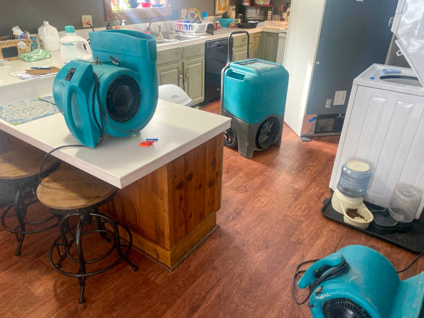 Best Sewage cleanup and water damage restoration  in Ash Flat, AR