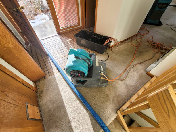 Best Flood restoration services  in Ash Flat, AR