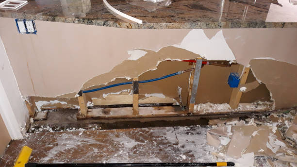 Best Fire Damage Restoration  in Ash Flat, AR