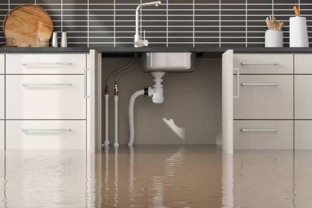 Best Water damage restoration process  in Ash Flat, AR